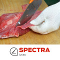 Linha Spectra